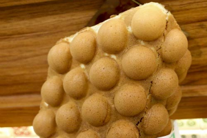 �人��ۼ����м�����ѵȥ�����?